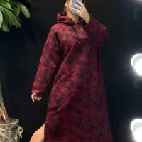 پالتو (هودی)