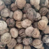گردودرجه‌یک‌پوست‌کاغذی