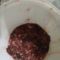 جیگر بلدرچین وسنگدان بلدرچین تمیزشده