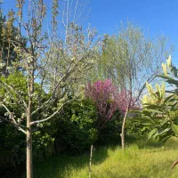 یک خانه. ویلایی در استان گیلان رشت|فروش خانه و ویلا|رشت, پسیخان|دیوار