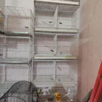 عنوان قفس پرنده|لوازم جانبی حیوانات|بوشهر, |دیوار