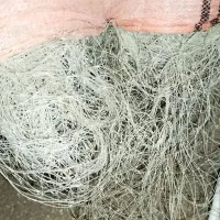 تور|ماهیگیری|بندر دیر, |دیوار