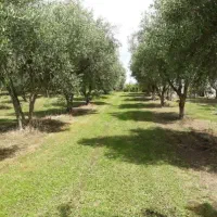 تفریح طالقان
