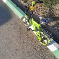 دوچرخه ۱۲|دوچرخه، اسکیت، اسکوتر|قرچک, زیبا شهر|دیوار