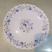 ارکوپال امارات گل ابی