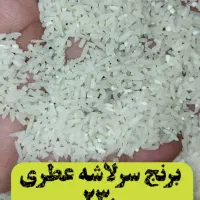 برنج سرلاشه طارم معطر ۲۳۰ هزار تومان|خوردنی و آشامیدنی|مشهد, شهرک رازی (شهرک غرب)|دیوار