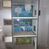 قفس برا عروس. مرغ عشق. فنج