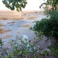 املاک دامداری 49راسی 5000متر