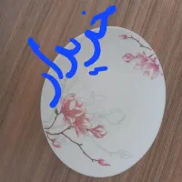 سرویس ارکپال