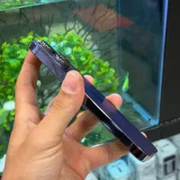 iphone 14pro|موبایل|شیراز, زند|دیوار