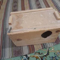 لونه چوبی طوطی عروس