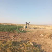 عراقی