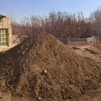 کود گوسفندی|خدمات باغبانی و درختکاری|اصفهان, سرشبادران|دیوار