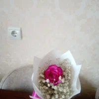 کارت ملی گم شده