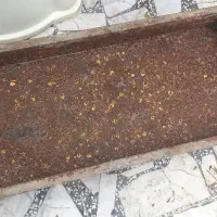 منقل درحد نو و محکم