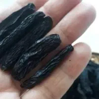 کشمش افتابی،سبز،زرد|خوردنی و آشامیدنی|کاشمر, |دیوار