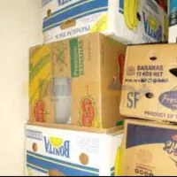 کارتن موزی فاز ۱۱