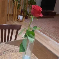 اجاره اپارتمان