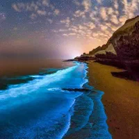 تاکسی گردشگری