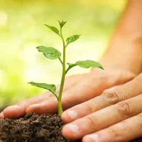 امتیاز وام تا سقف ۵۰۰ میلیون