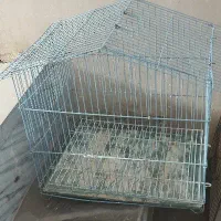 قفس در حد نو