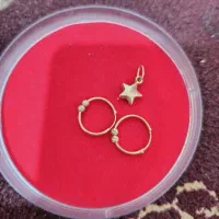 گوشوار پلاک