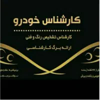 اُپتیما رافور /کارشناسی تشخیص رنگ بدنه و فنی خودرو|خدمات موتور و ماشین|تهران, الهیه|دیوار