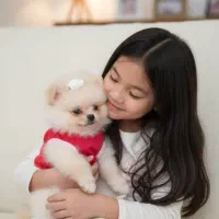 واگذاری سگ پامر