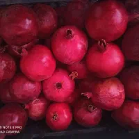 انار کوهپایه|خوردنی و آشامیدنی|کوهپایه, |دیوار