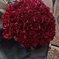 گل ربانی