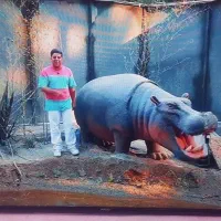 تلویزیون مجیک ۵۰ اینچ هوشمند اندروید