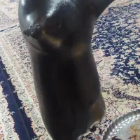 هیزه|ظروف نگهدارنده، پلاستیکی، یک‌بارمصرف|جوانرود, |دیوار