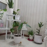 جویای کار جهت نگهبانی