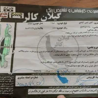 تیبا۱ مدل ۹۲|خودرو سواری و وانت|صومعه‌سرا, |دیوار