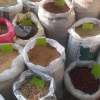 دان پرندگان زینتی مکمل دارو تقویتی قناری طوطی طیور|لوازم جانبی حیوانات|ابهر, |دیوار