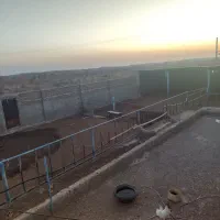 گاوداری صنعتی همراه باغ پسته|فروش دفتر صنعتی، کشاورزی، تجاری|شادمهر, |دیوار