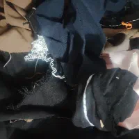 دم قیچی مازراتی