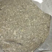 کود مرغ|گل و گیاه طبیعی|بجنورد, |دیوار