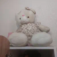 عروسک سالم ایرانی و خارجی