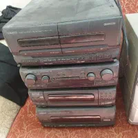 ظبط
