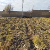 زمین در منطقه بهارستان صنوبر|فروش زمین و ملک کلنگی|تربتحیدریه, بالا ولایت|دیوار