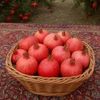 سبد های دست بافت|صنایع دستی و سایر لوازم تزئینی|شهریار, رزکان|دیوار