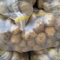 سیب زمینی آگریاوجلی خوراک و بذری ،انواع بذرها