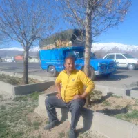 نیسان|خدمات حمل و نقل|بم, |دیوار