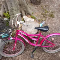 دوچرخه دخترانه سالم