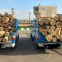 خرید انواع چوب