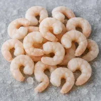 استخدام نیرو