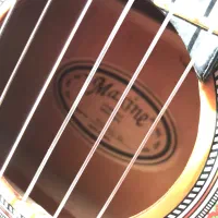 گیتار maxineبه همراه کیف|گیتار، بیس، امپلیفایر|قزوین, |دیوار