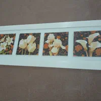 تابلو ۳عدد|تابلو، نقاشی، عکس|تالش, هشتپر|دیوار