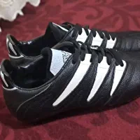 کفش ورزشی استوک|کیف، کفش، کمربند|خورش رستم, |دیوار